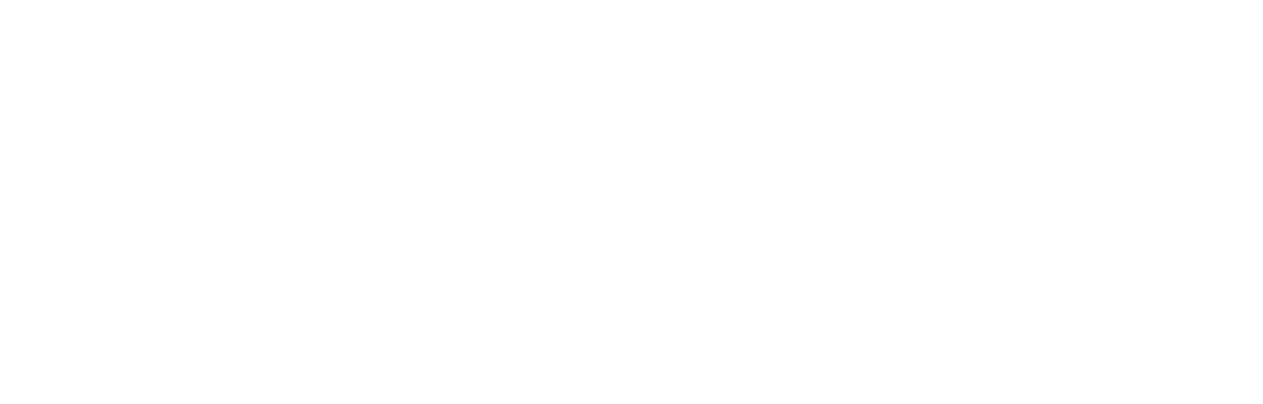 Dr. Schwab Management - Agentur für Unternehmensentwicklung